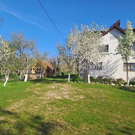 Hotel Casa Cristalul Muntilor Poiana Mărului Esterno foto