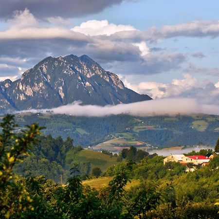 Hotel Casa Cristalul Muntilor Poiana Mărului Esterno foto