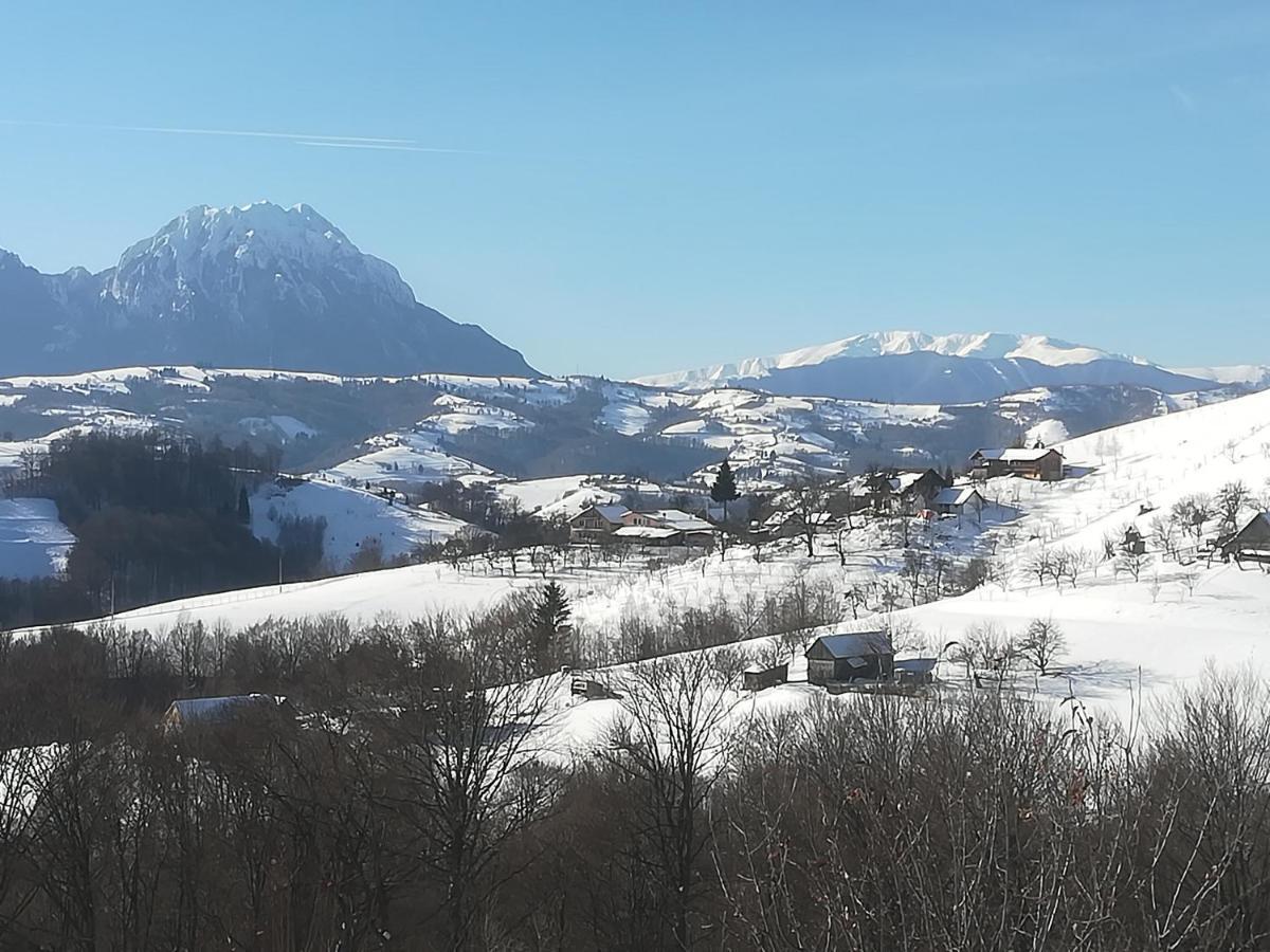 Hotel Casa Cristalul Muntilor Poiana Mărului Esterno foto