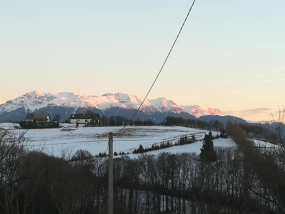 Hotel Casa Cristalul Muntilor Poiana Mărului Esterno foto