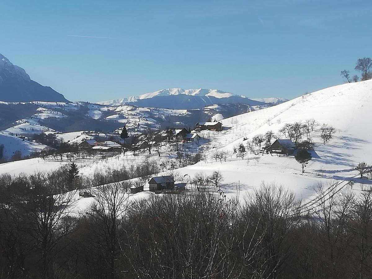 Hotel Casa Cristalul Muntilor Poiana Mărului Esterno foto