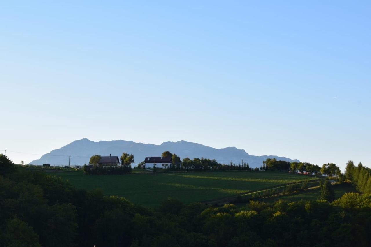 Hotel Casa Cristalul Muntilor Poiana Mărului Esterno foto