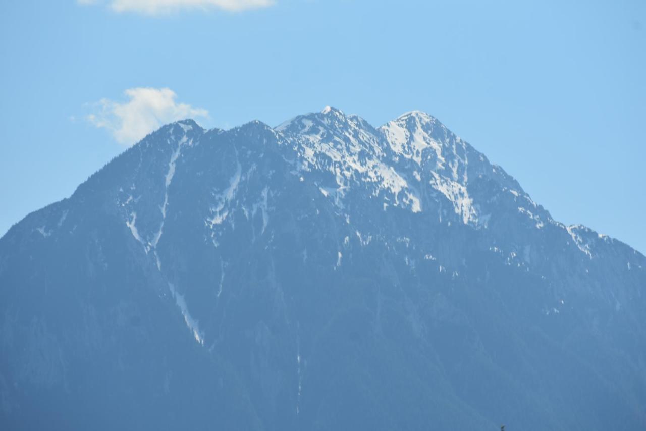 Hotel Casa Cristalul Muntilor Poiana Mărului Esterno foto