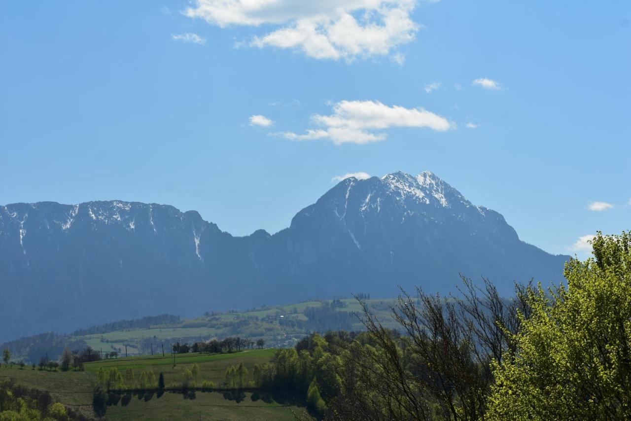 Hotel Casa Cristalul Muntilor Poiana Mărului Esterno foto