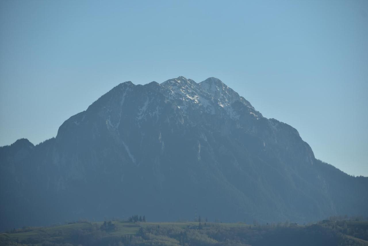 Hotel Casa Cristalul Muntilor Poiana Mărului Esterno foto