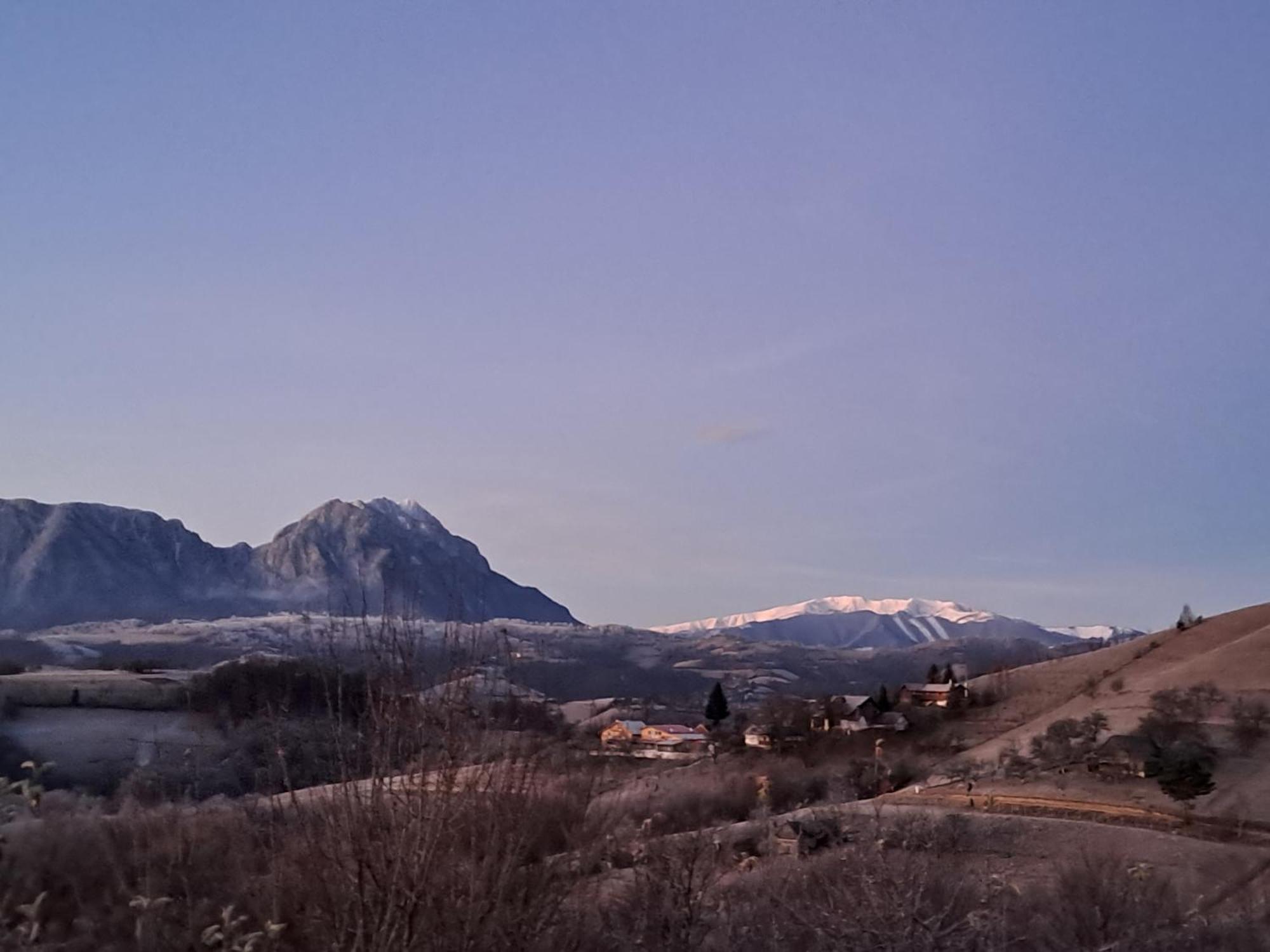 Hotel Casa Cristalul Muntilor Poiana Mărului Esterno foto