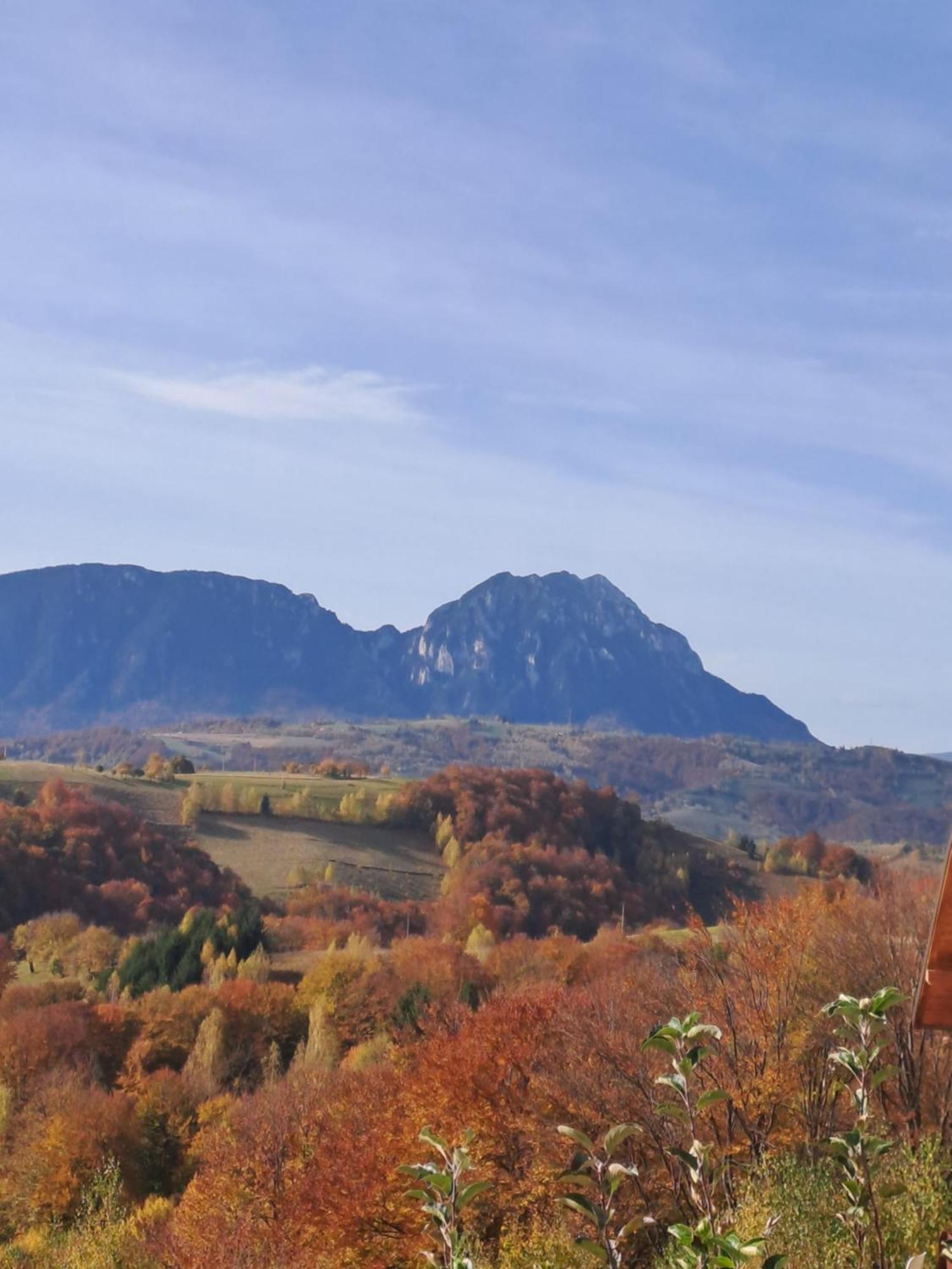 Hotel Casa Cristalul Muntilor Poiana Mărului Esterno foto