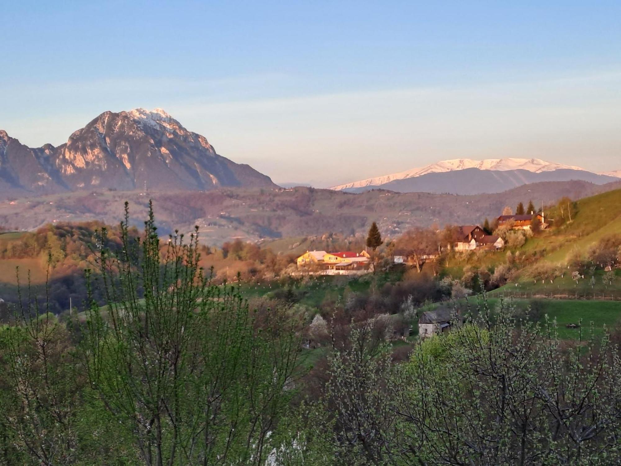 Hotel Casa Cristalul Muntilor Poiana Mărului Esterno foto