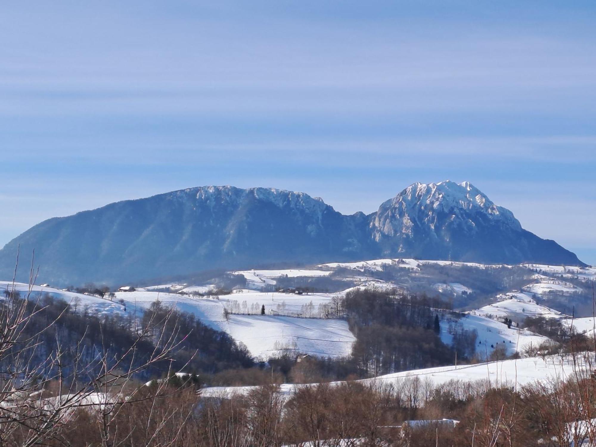 Hotel Casa Cristalul Muntilor Poiana Mărului Esterno foto