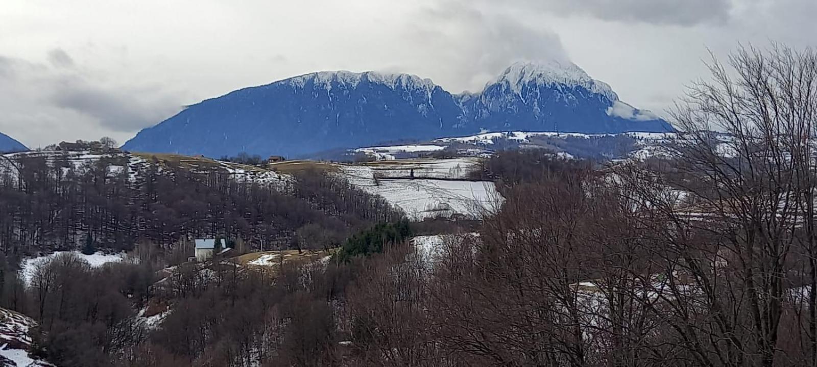 Hotel Casa Cristalul Muntilor Poiana Mărului Esterno foto