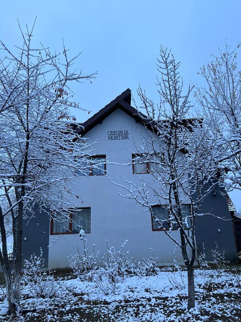 Hotel Casa Cristalul Muntilor Poiana Mărului Esterno foto