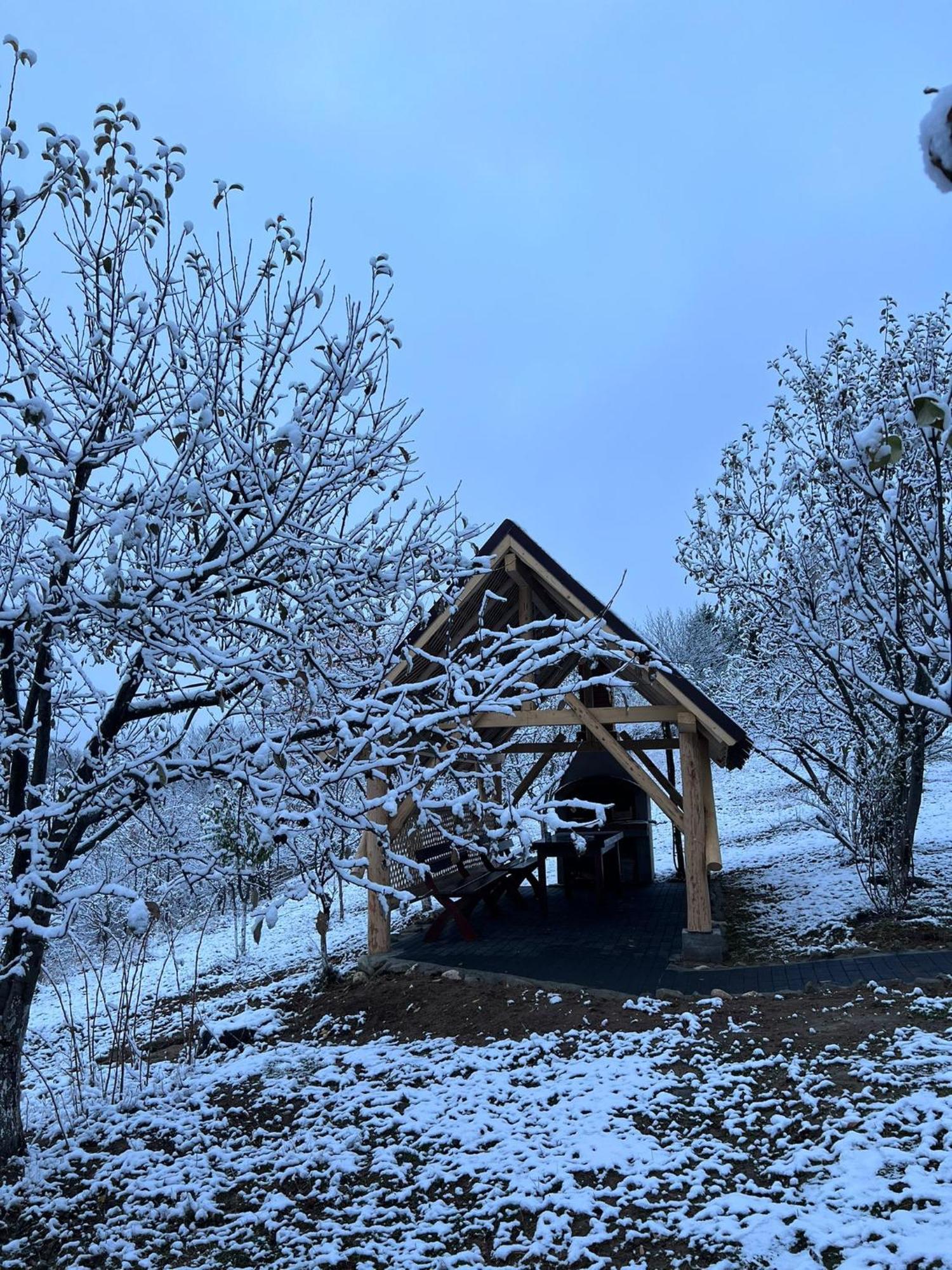 Hotel Casa Cristalul Muntilor Poiana Mărului Esterno foto