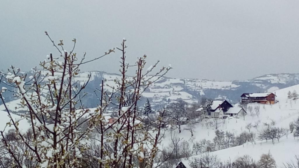 Hotel Casa Cristalul Muntilor Poiana Mărului Esterno foto