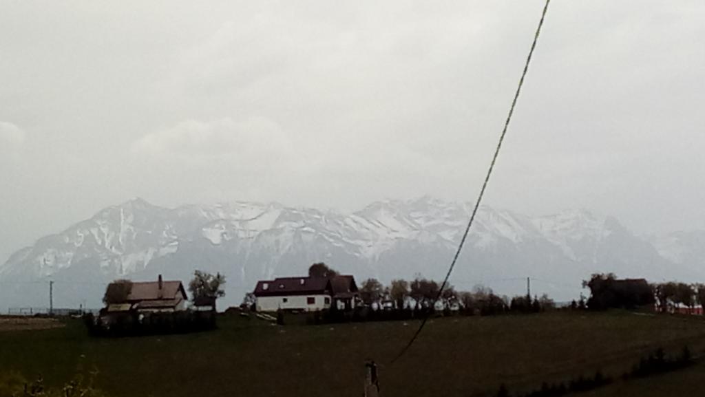 Hotel Casa Cristalul Muntilor Poiana Mărului Esterno foto