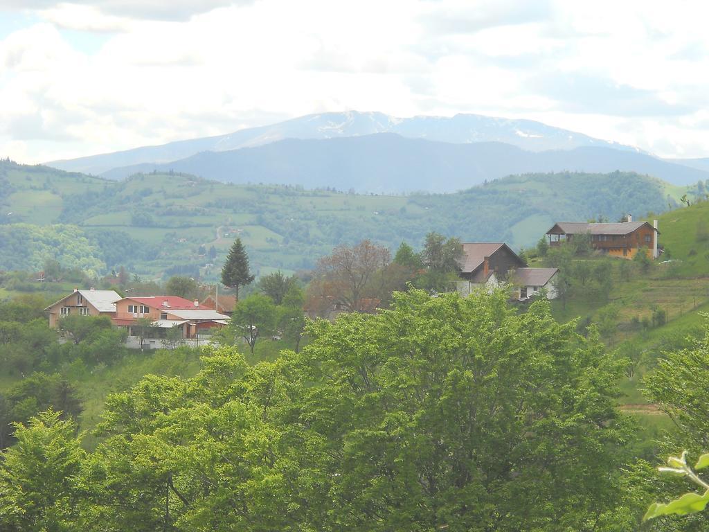 Hotel Casa Cristalul Muntilor Poiana Mărului Esterno foto
