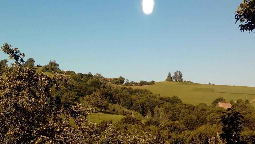 Hotel Casa Cristalul Muntilor Poiana Mărului Esterno foto