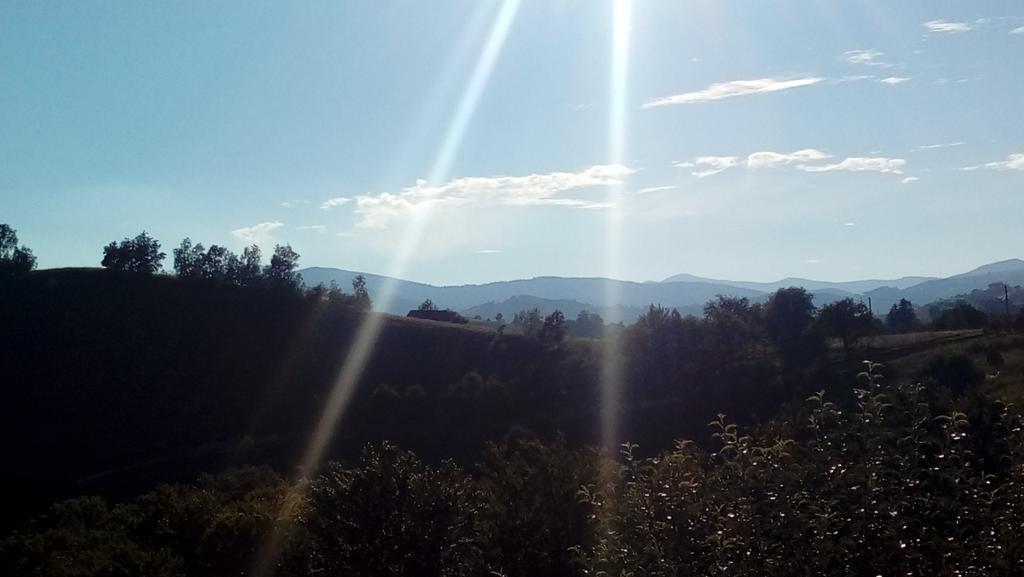 Hotel Casa Cristalul Muntilor Poiana Mărului Esterno foto