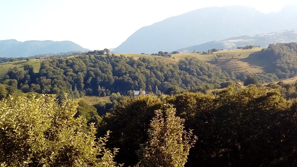 Hotel Casa Cristalul Muntilor Poiana Mărului Esterno foto