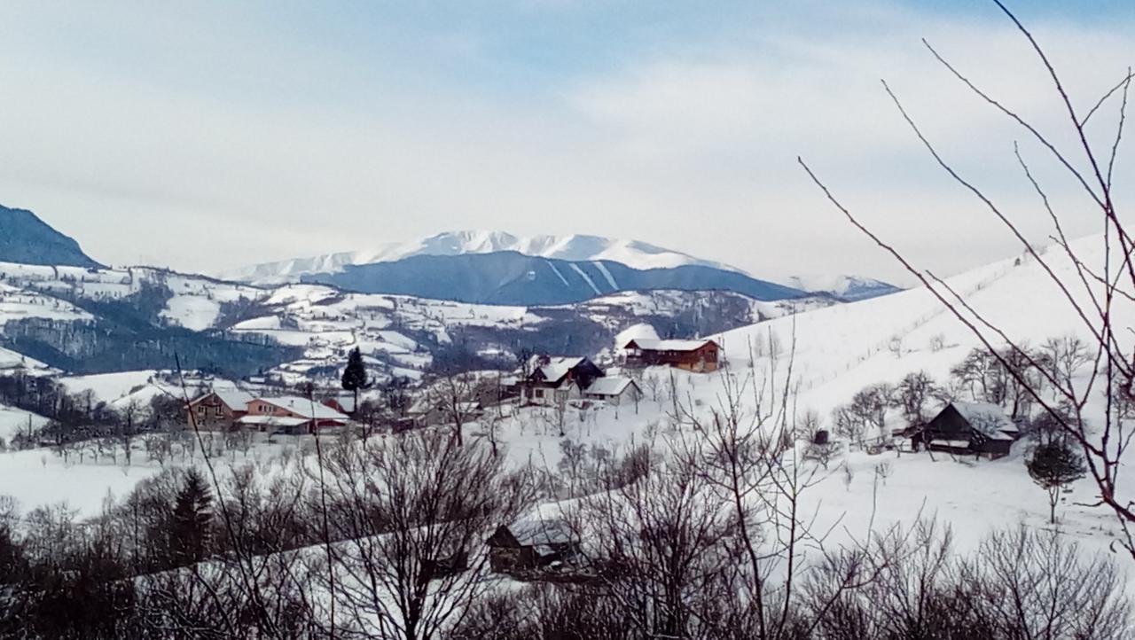 Hotel Casa Cristalul Muntilor Poiana Mărului Esterno foto