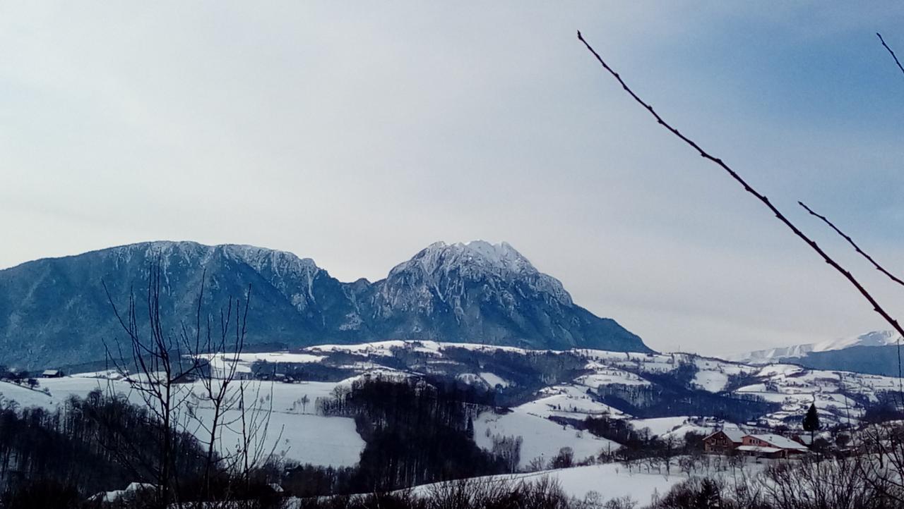 Hotel Casa Cristalul Muntilor Poiana Mărului Esterno foto