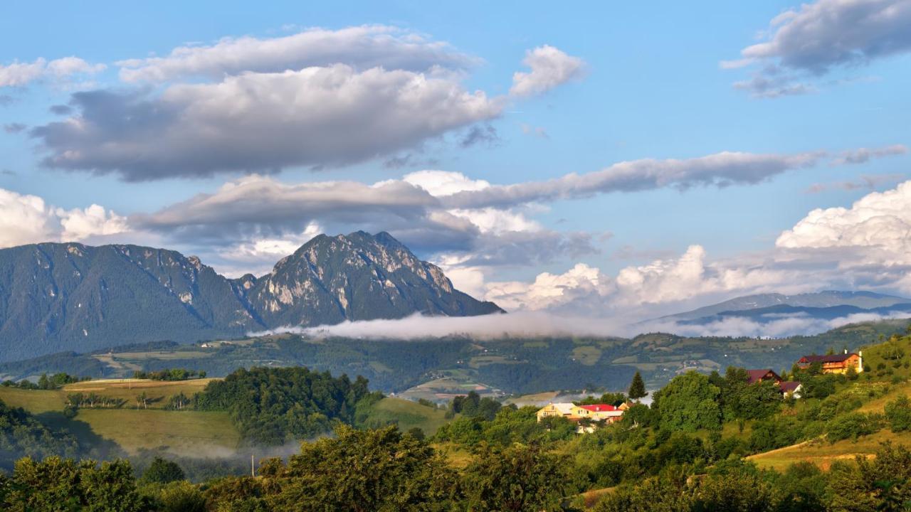 Hotel Casa Cristalul Muntilor Poiana Mărului Esterno foto