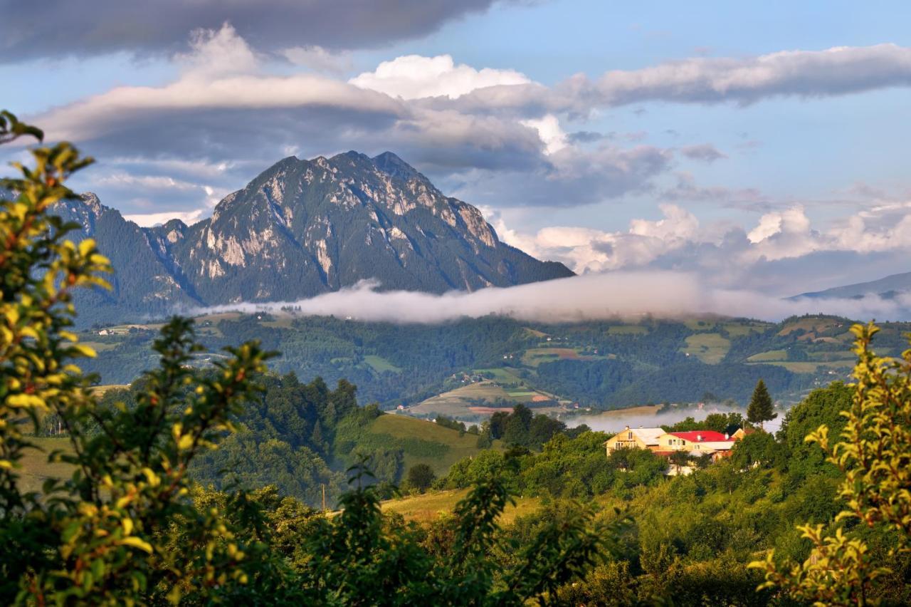 Hotel Casa Cristalul Muntilor Poiana Mărului Esterno foto