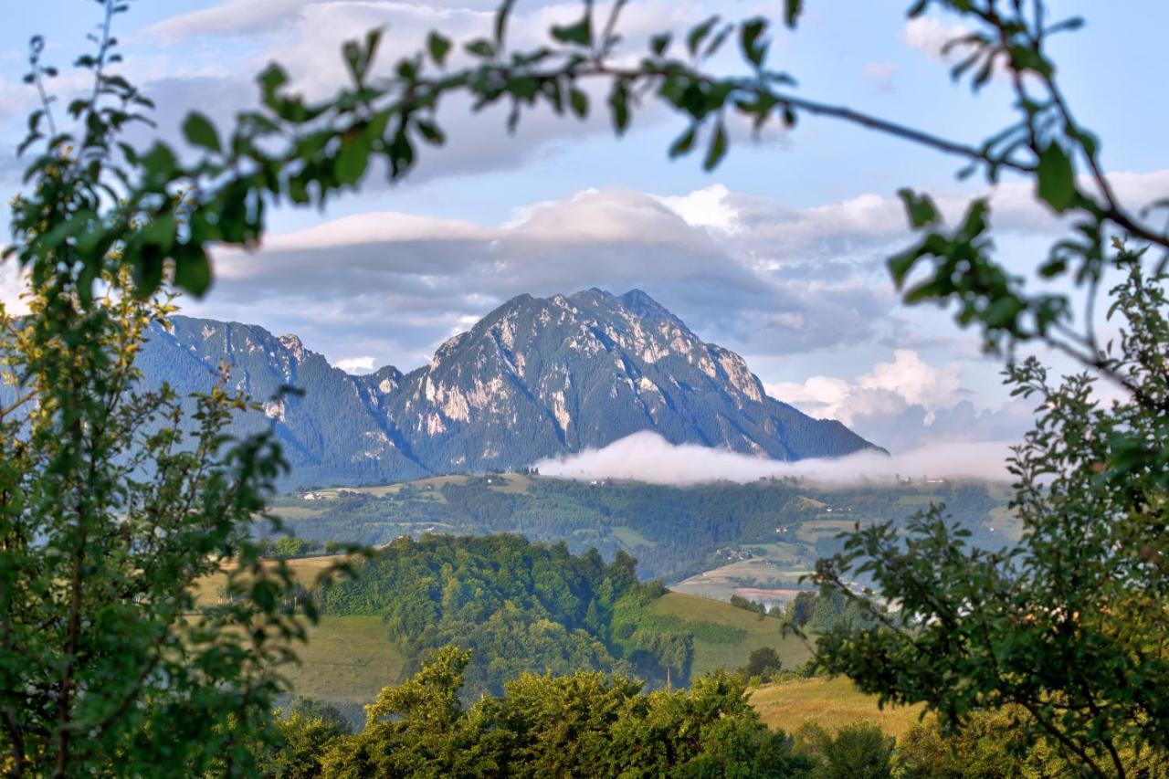 Hotel Casa Cristalul Muntilor Poiana Mărului Esterno foto