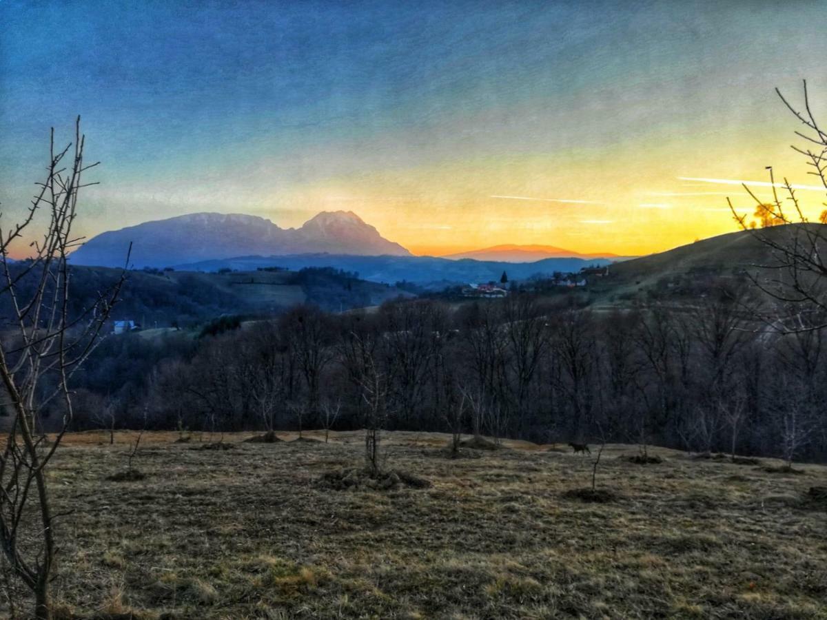 Hotel Casa Cristalul Muntilor Poiana Mărului Esterno foto