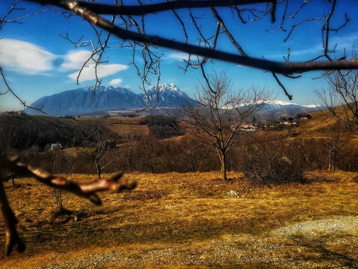 Hotel Casa Cristalul Muntilor Poiana Mărului Esterno foto
